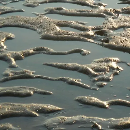 بيت للعطل Les Onagres 2 Le Crotoy, A 2 Minutes De La لو كْروتْوَ